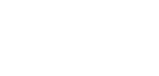 Film- und Band-Digitalisierung   Farbkorrekturen   Archivierung   Aufbau von Distributions-Portalen   Sicherung des digitalen Archivs