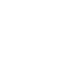 Film and tape digitization   Colour correction       Archiving   Construction/Creation of         distribution portals       Securing digital archives